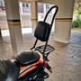 Sissy Bar King 25" Destacável com Bagageiro Removível para Harley-Davidson Sportster - Preto