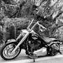 Guidão Diablo Quinado Clean Robust 1.1/4" para Harley-Davidson Softail - Inox Polido
