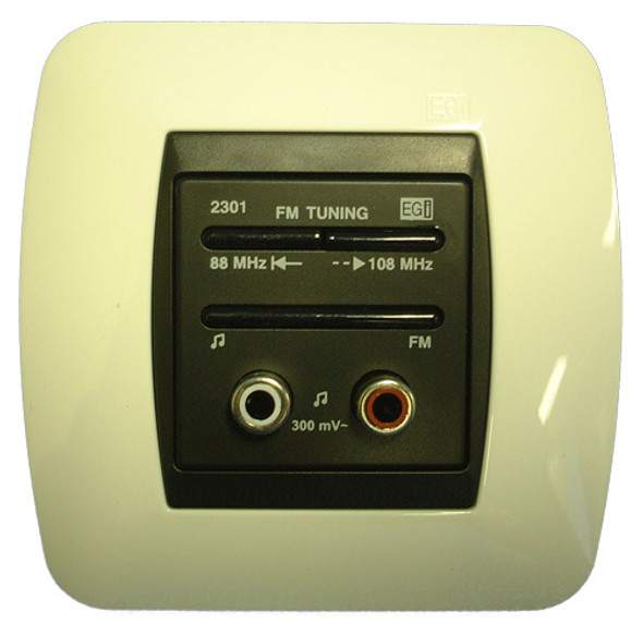 Harmony Controller with FM Radio and Audio Input
