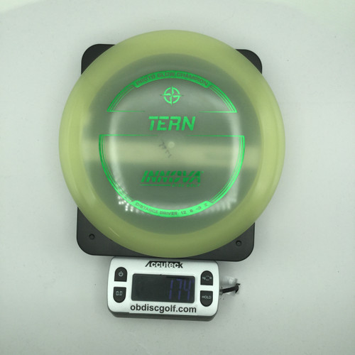 Proto Glow Champion Tern