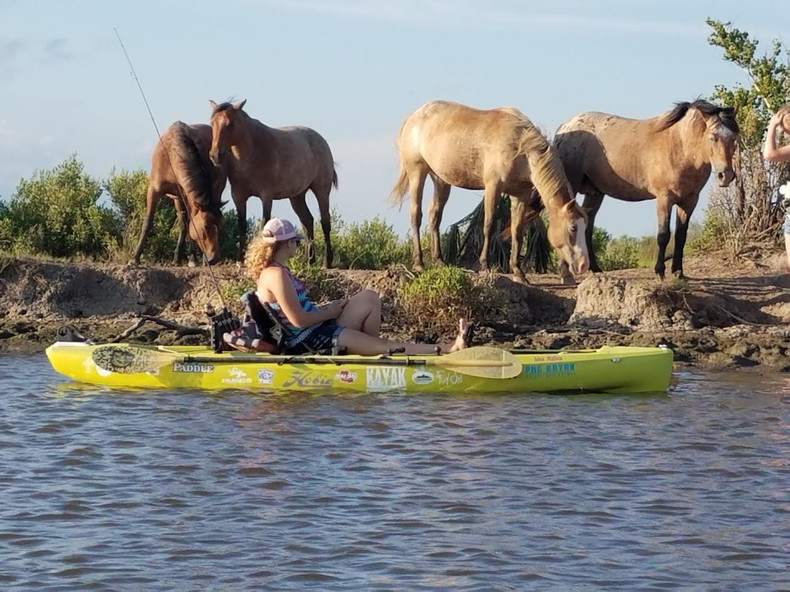 Hobies & Horses 