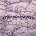 Prince ‎– Musicology Promo Card Sleeve CD