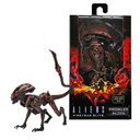 Aliens: Fireteam Elite - Prowler 7" Action Figure