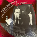 Sunnyboys – Show Me Some Discipline 7" Single Vinyl (Used)
