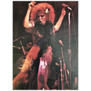 Bette Midler -The Divine Miss M 1974 Original Concert Tour Program