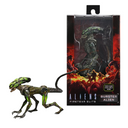 Aliens: Fireteam Elite - Burster 7" Action Figure