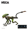Aliens: Fireteam Elite - Burster 7" Action Figure