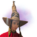 Harry Potter - Sorting Hat