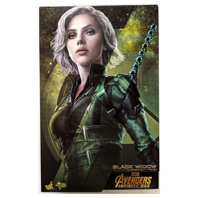 Avengers 3: Infinity War - Black Widow Hot Toys MMS460 1/6th Scale 12 Inch Collectable Action Figure