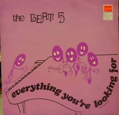 Beat 5 - Everything You're Looking For Vinyl (Secondhand)