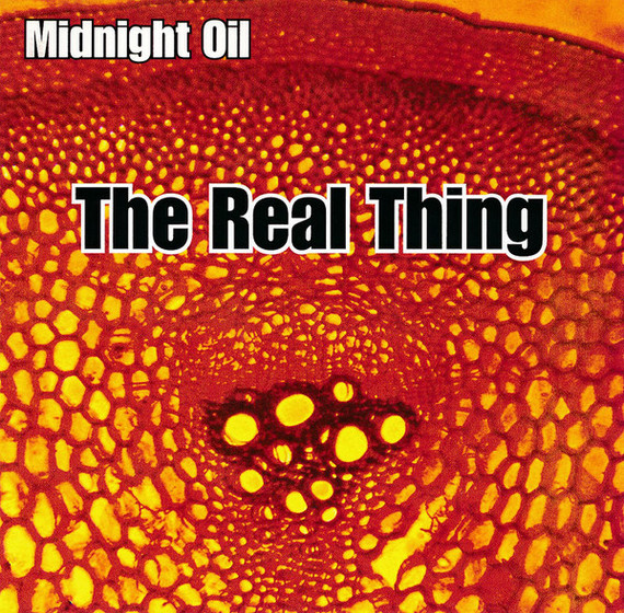 Midnight Oil – The Real Thing CD