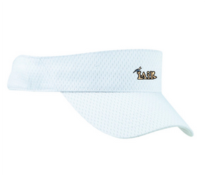 Visor - Stellar Jay 2024