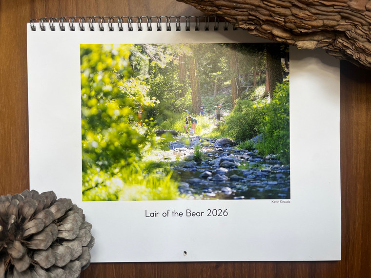 Lair Wall Calendar 2026
