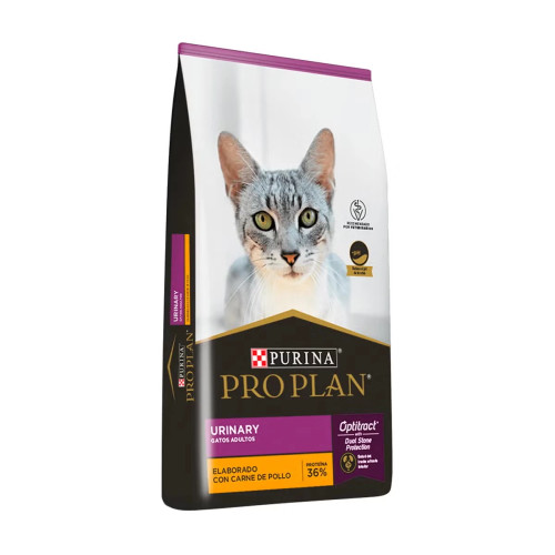 Cat Urinary