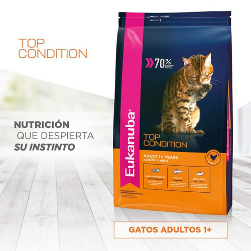 Gato Adulto Top Condition