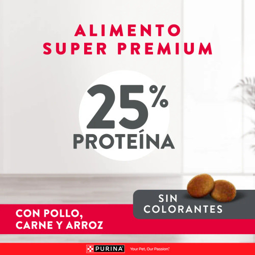 Adulto Razas Pequeñas