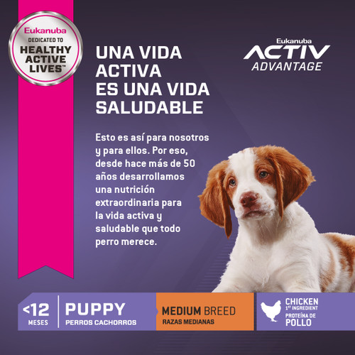 Puppy Medium Breed