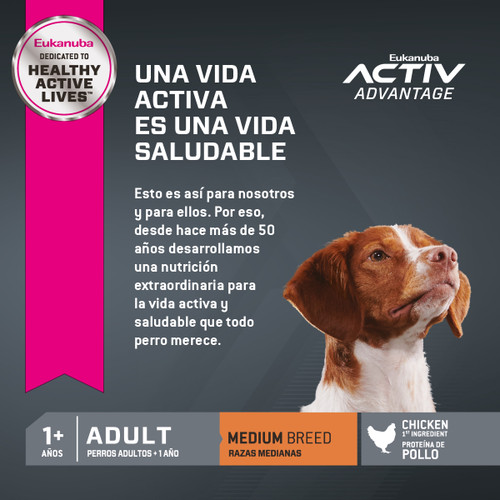 Adulto Medium Breed