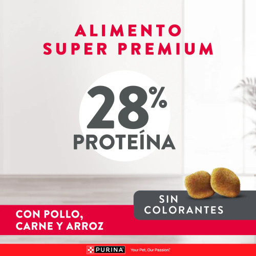 Puppy Razas Medianas y Grandes