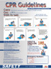 Poster - Cpr Guidelines - 24 X 18 - PST004