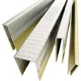 P6 Staples 5/16"