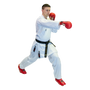 Hayashi "Kumite Champion" Karate Gi "FLEXZ" WKF appr. 150cm Child (043-1150)