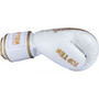 Boxing gloves “Power Ink Golden Star”