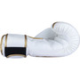 Boxing gloves “Power Ink Golden Star”