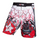 TOP TEN MMA Shorts "SAMURAI" Design I (18781-14)