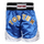 Kickboxing Shorts TOP TEN "Kick Light" (1865-46)