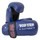 TOP TEN Pointfighter Gloves Blue (2165-6)