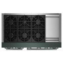 Table de cuisson bicombustible à 6 brûleurs avec plaque chauffante KitchenAid® de 48 po KFDD948SJP