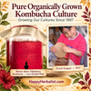 Download our Free Kombucha Mushroom Tea Basic Brewing Guide  available at HappyHerbalist.com  Making Kombucha at home affords great versatility. HappyHerbalist is still Happy making Kombucha for over 30 years  
