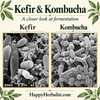 Our Kefir + Kombucha Mushroom under the microscope at 50,000x. Free e-book , articles, Pictures, and research at HappyHerbalist.com Creating Kombucha since 1997.
