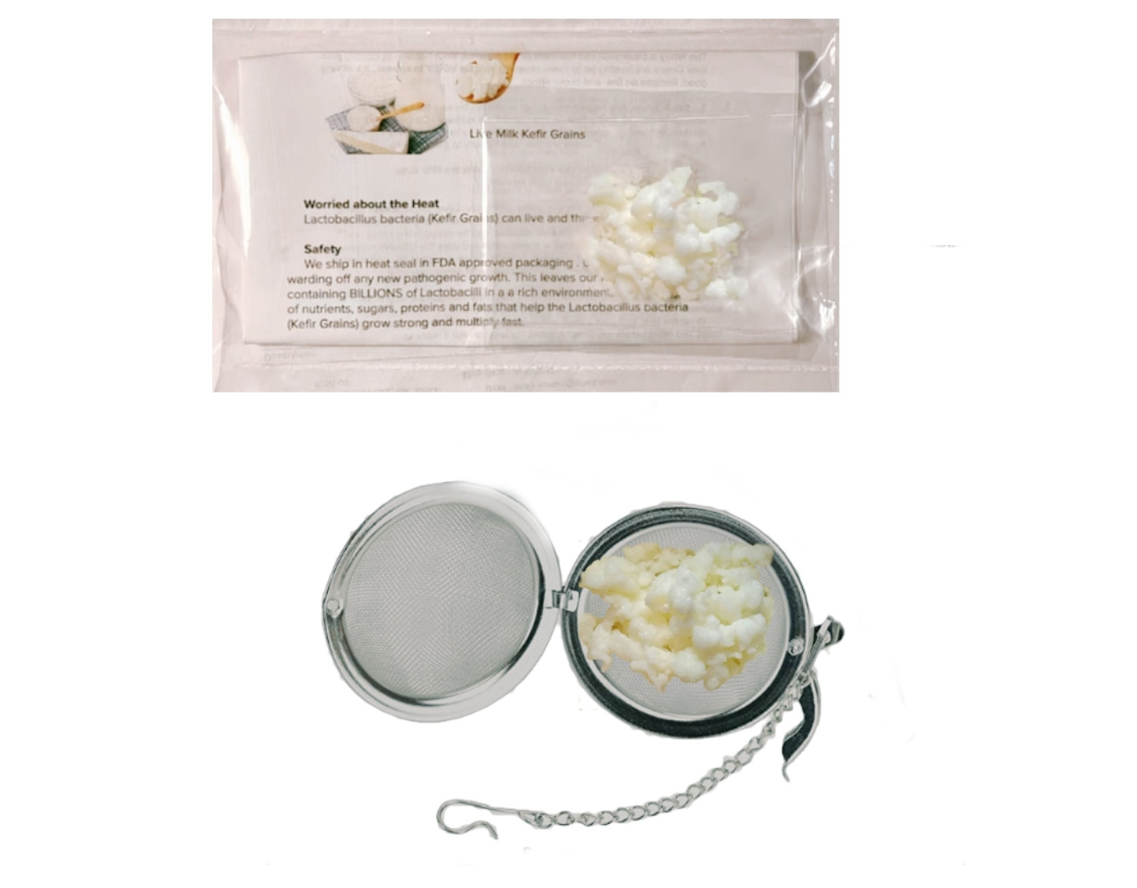 Milk Kefir, Fresh never frozen, never dehydrated, Guaranteed