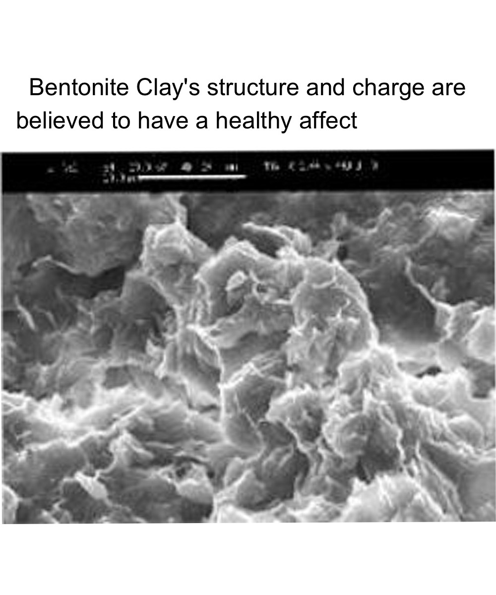 Bentonite Clay