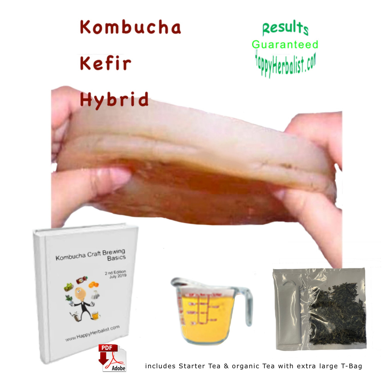 KOMBUCHA2本組み uKeg 64 Lunch Box - Kombucha Lunch Box - Happy Herbalist