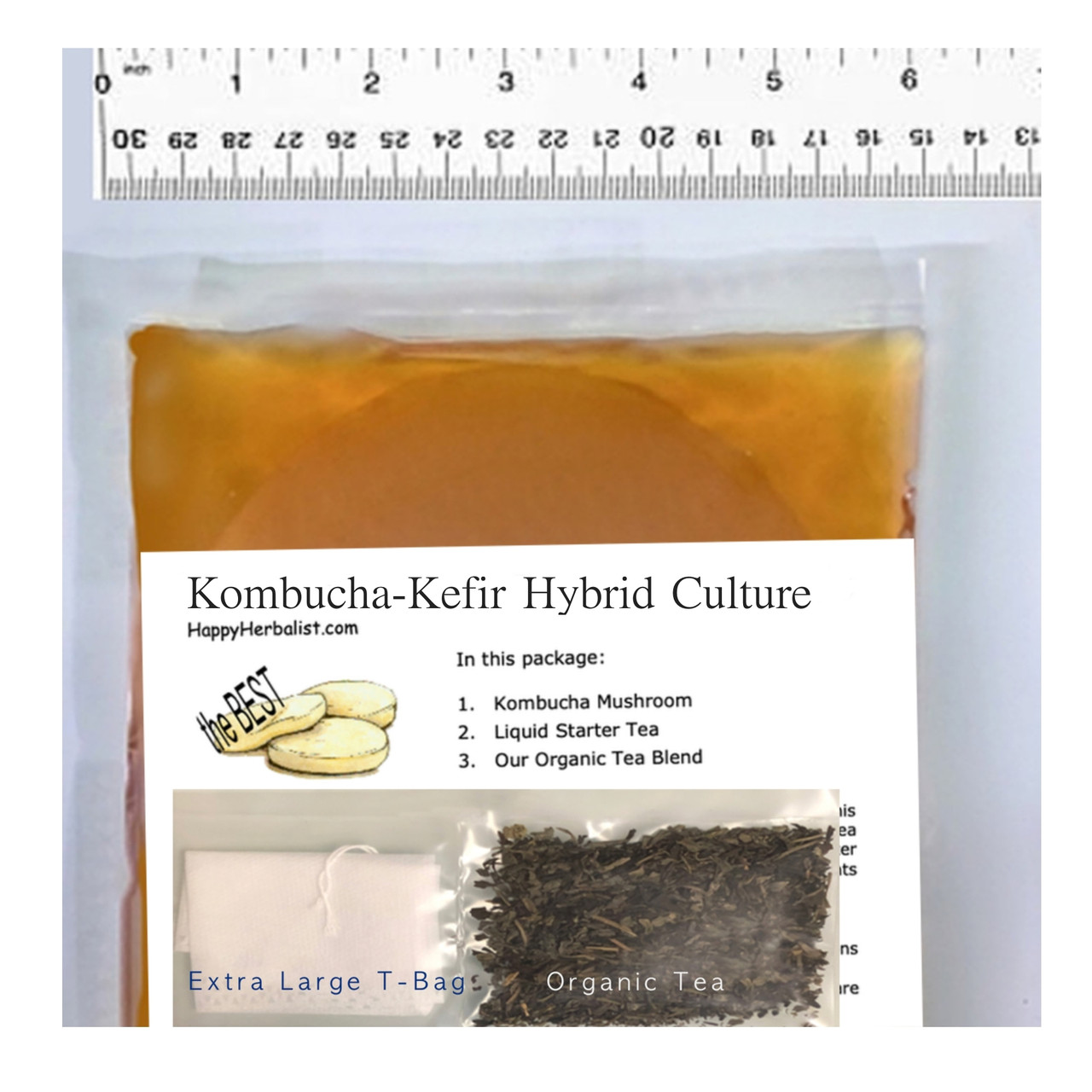 KOMBUCHA2本組み uKeg 64 Lunch Box - Kombucha Lunch Box - Happy Herbalist