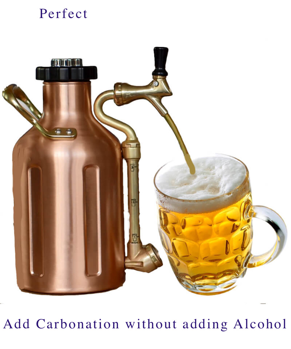 Mini Keg for Fresh Carbonated Brew Keeps 64 oz chilled and sparkling
