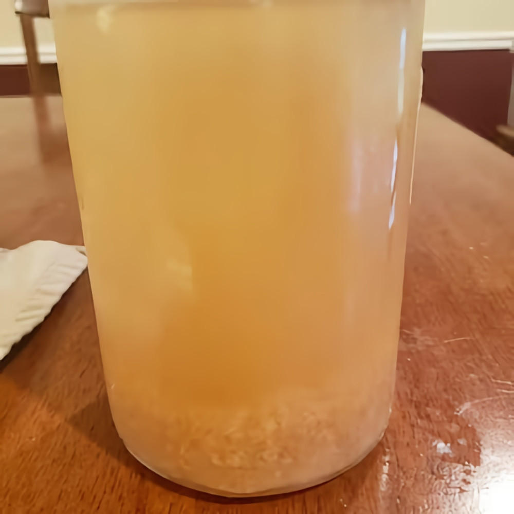 Ginger Beer Plant Starter Culture Basic Ginger Beer Recipe HappyHerbalist