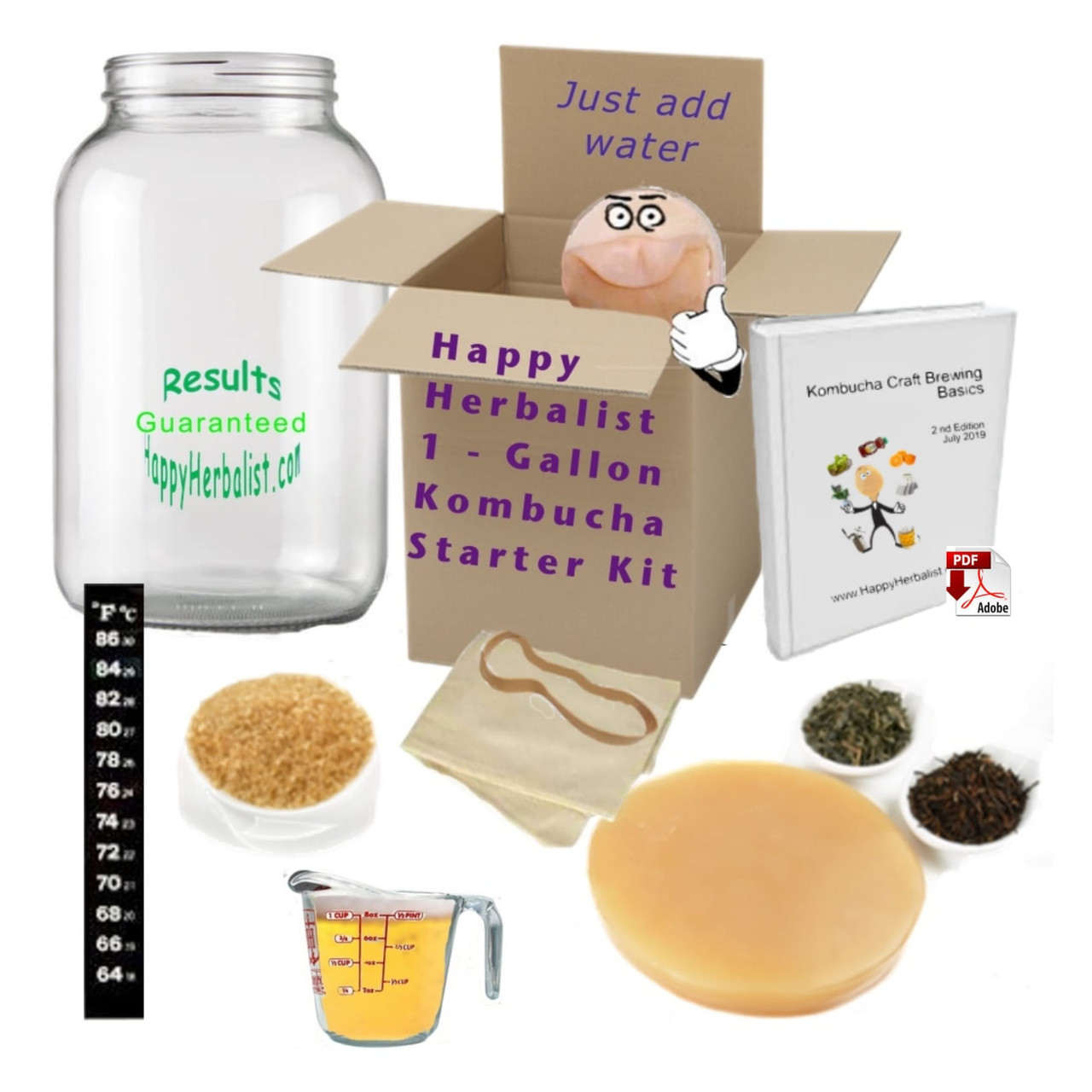 Kombucha Brewing Kit - Braue deinen Lieblings-Kombucha zu Hause