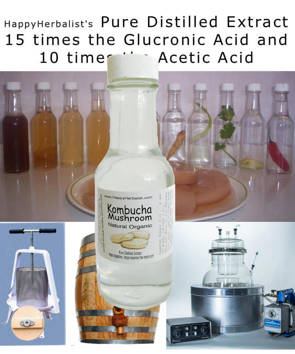 Kombucha Mushroom Tea Distilled Happy Herbalist