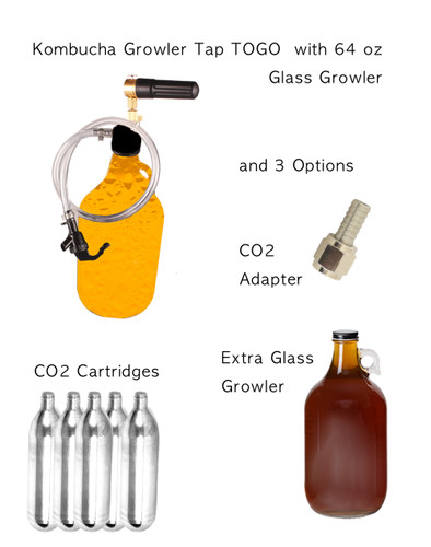 Your Favorite Probiotic Soda in a CO2 Injector and Picnic Tap ready to travel the world as you se it. More options at HappyHerbalist.com 