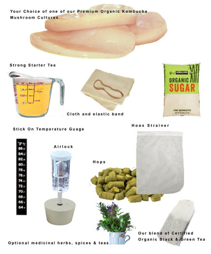 How to make Kombucha Tea. The Complete Kit. Includes  Starter Culture, Tea, sugar, starter tea, temperature gauge,, Hop Bag, Choice of SCOBY,  Glass Fermenter with spigot, optional spigot filters and medicinal herbs, spices and teas. Guaranteed Success. HappyHerbalist online since 1997
