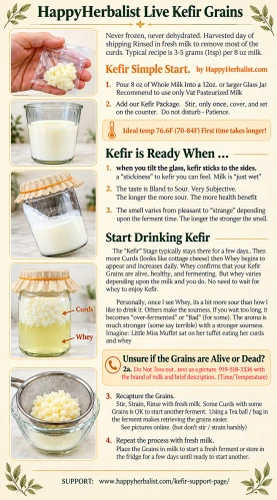 Find MIlk Kefir Simple Start. How to Make What to Avoid. when making Kefir. by HappyHerbalist,com  HappyHerbalist Milk Kefir Grains with Stainless Steel Tea Ball for clean easy fermenting. No more hunting and eye strain. No more waiting. see HappyHerbalist todayHappyHerbalist Milk Kefir seeds with high quality 304 stainless steel Tea Ball with easy open long handle tea ball. Perfect. 