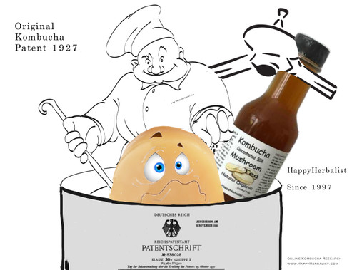 Kombuchal the first Kombucha Patent applied for in 1927. Read How to Concentrate Kombucha and make pure kombucha extract from the original German method. Kombucha Concentrate 50X the glucronic Acid and 35 x the acetic acid from HappyHerbalist lab