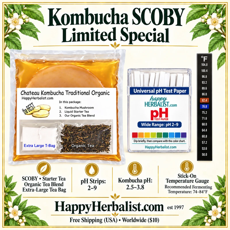 Extra Large 5-6 inches across. Organic Kombucha SCOBY Culture Starter Kit Just add sugar and water. Guaranteed Healthy and to grow new kombucha mushroom. Produce healthy  Kombucha Tea for family and friends. Visit HappyHerbalist.com 
