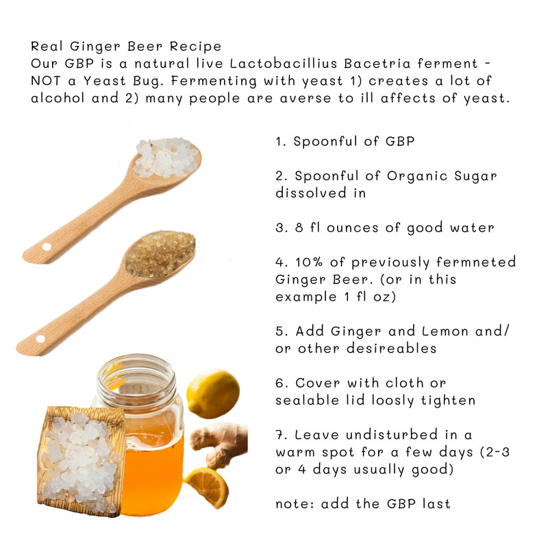 Ginger Beer, Ingredients & Spices
