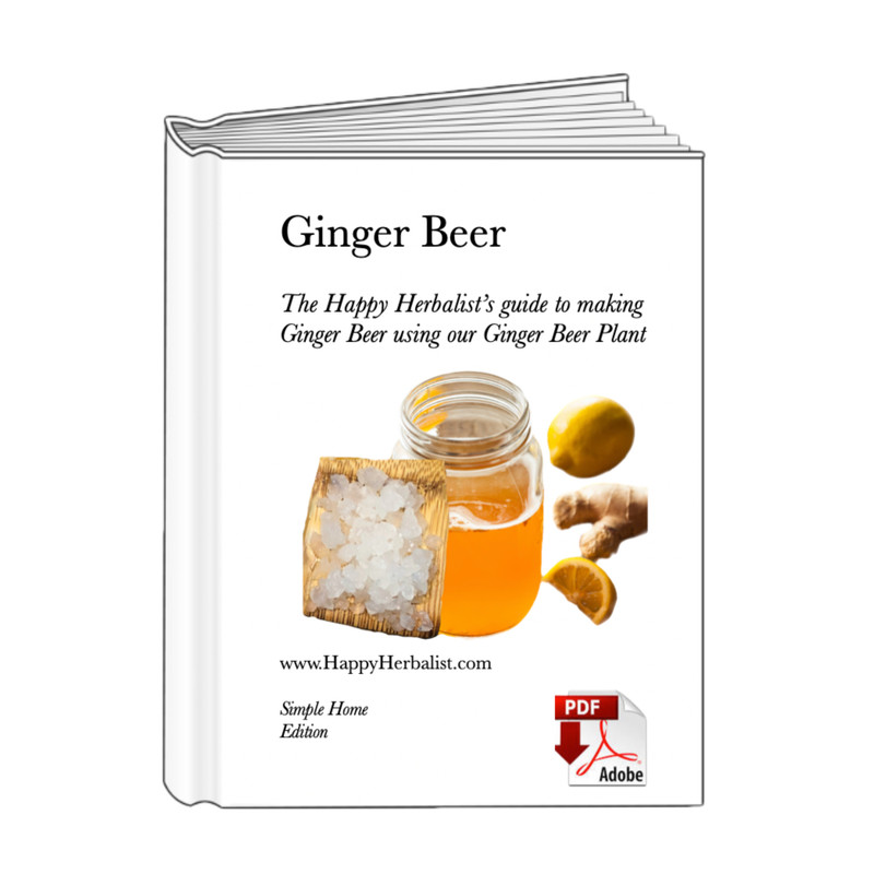 Ginger Beer Starter Culture - Ginger Beer Recipe HappyHerbalist