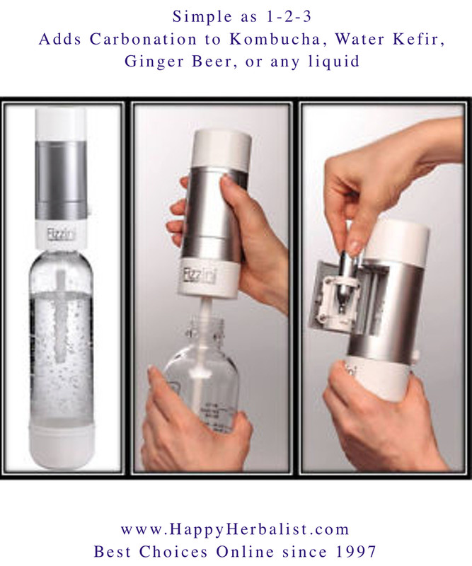 fizzini soda maker